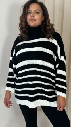 CurveWow Roll Neck Swing Knitted Jumper Black