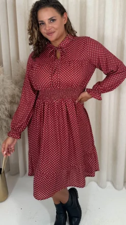 CurveWow Shirred Waist Tie Neck Dress Red Spot
